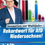 Rekordwert für AfD in Niedersachsen